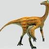 福井から、ティラノではないティラノが発見されました
