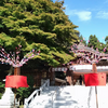 高麗神社例大祭