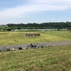 暑い中のアルティメットの練習