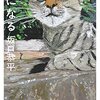 【書評】『土になる』(坂口恭平)日記と思考の進みが面白い本でした＆2023/07/16の日記