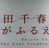 インスタレーション祭。