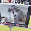 東京ドームシティでゴジラARを体験してきた感想✨目の前に迫る巨大ゴジラに圧倒される⁉️