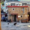 北竿島を徒歩で縦断してみた⑥｜空の玄関口「塘岐聚落」で、馬祖の暮らしを垣間みる