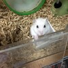 つぶあん303日目