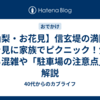 【山梨・お花見】信玄堤の満開の桜を見に家族でピクニック！気になる混雑や「駐車場の注意点」を解説