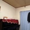 見守ってくれてるのかな😸