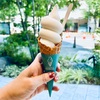 絶品！パティスリーナオヒラのソフトクリームを店内で | Patisserie NAOHIRA