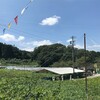 連休2日目