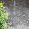 雨の日曜日