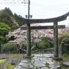 桜雨に打たれながら花筵を歩む。