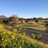 春の陽気に・・・-上里ゴルフ場-