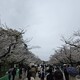 【5期目突入】経営タスクに集中しまくる話