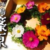 西麻布｜予約不可！？THE港区なオシャレ焼き鳥 『焼鳥 篠原』