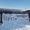 『シベリア・イルクーツク生活日記　第八回』＆村の雪景色