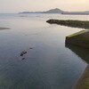 防府の海川、ぶらり旅🎣　後編：オイカワをリリースして怪魚をアドバンス召喚！　＠防府市佐波川河口付近
