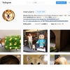 風谷南友のインスタニュース『MADE IN JAPANの高い評価はペットにも！？世界を魅了する＃shibastagram』（036) 