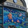 Marine Life Institute