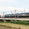 第2069列車　「　EF66 27、EF65 2085の京鉄博展示返却に伴う臨貨を狙う　」