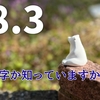 ①「48.3」この数字が何か知っていますか？ぜひ考えてほしいキャリアの話