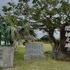 石垣島の北部・平久保半島にある明石集落に行ってきました。
