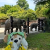 #上野動物園#アルン#ウタイ