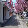 インスリン担当