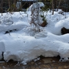 雪の積もった庭にて