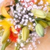 新年度スタート。慌ただしい日々です。