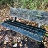 雨に濡れた椅子とテーブルとセキレイ〈1213〉Benches, a table and a Wagtail wet in the rain.  