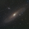 M31