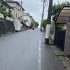 八重のドクダミ　今日も仕事で