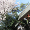 千葉県野田市　櫻木神社　【春大祭月】