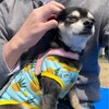まろにー2849日目