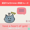 have a heart of gold 【直訳では分からない英語フレーズ＃13】
