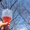 お花見ワイン会