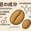 コーヒー生豆の成分