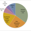 2015 Cement Market Share in Japan