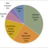 2015 Cement Market Share in Japan