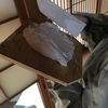 【にんげん小屋】にんげん小屋とは？② 壁塗りをした