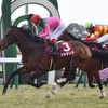 競馬初心者必見☆馬券予想🔥〜京都記念〜数少ないディープ産駒に期待！