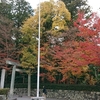 去年の開戦記念日の椿大神社の紅葉