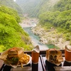 【徳島県のグルメ】大歩危峡を眺めながらいただくジビエバーガー！道の駅大歩危に寄り道してみた