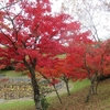 紅葉２０２４　和束から信楽へ ～ 其の二