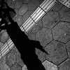 Photorecording #263 没落消滅か、定期復活か