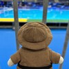 金メダルの瞬間が見たい！いざ世界水泳の決勝戦へ！(福岡夏旅その4)(588)