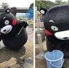 くまモン　山鹿に出没