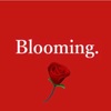 (訳) 『Blooming』 - NEXT