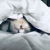 健康維持のための睡眠には量と質の両立が必要