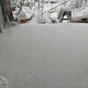ついに降りやがった！２