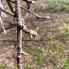 天気が良すぎる。